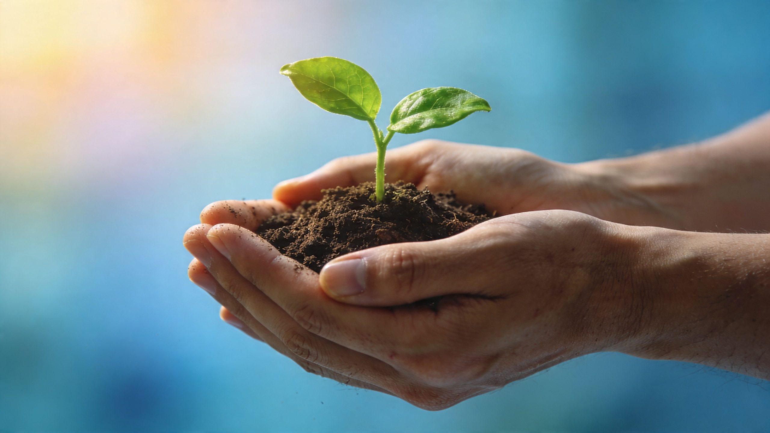 Life Success Therapy: A Guide to Thriving in 2026